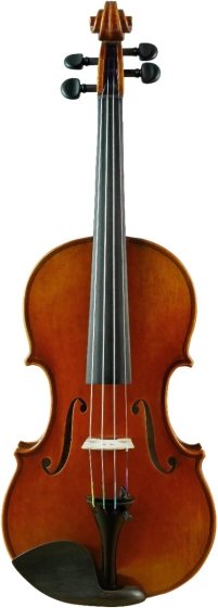 J.T.L Violin 4/4 Violons de Maître - Guarnerius