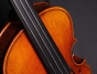 J.T.L Violin 4/4 Violons de Maître - Guarnerius