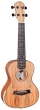 Barnes & Mullins Concert Ukulele - Spalt Maple