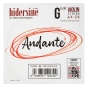 Hidersine Andante Violin G String 4/4 - 3/4