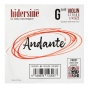 Hidersine Andante Violin G String 1/4