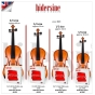 Hidersine Artista Violin D String – Silver Wound, Synthetic Core – 4/4–3/4 Size